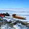 Bering Sea ice