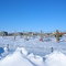 Kotzebue Cemetery