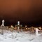 Cemetery