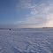 Frozen Kuskokwim Musher