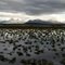 The Aleutian Range near Pilot Point, Alaska.