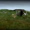 Whale Bone Hut