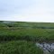 Arolik River