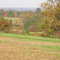 FALL COLORS