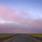 Entering the Fog