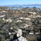 Petrified wood on beach on Unga Island (Shumigan's), Alaska July 2007