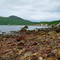 Red Cove beach