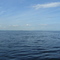 Manaus - Rio Negro - Cidade ao fundo