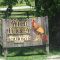 Wild Turkey