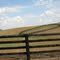 Fences KY USA