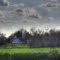 Kentucky Farm
