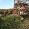 Alaska King Crab Pots
