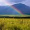 Rainbow Near Cantwell, Alaska