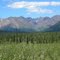 Windy River Valley -Cantwell AK 7-9-2010