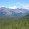 Windy River Valley East -Cantwell AK 7-9-2010