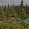 Camp close to George Parks Highway, Talkeetna Mountains