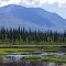 Denali Star train