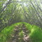 A Little Shortcut