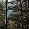 view of Seward through the trees