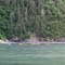 2010-07-04 - Sea Kayakers on the north shore, across from Whittier, AK.