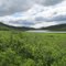 Lower Fish Lake