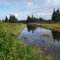 Tawah Creek
