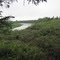 About 20 minutes up the Kasigluk River, up on a bluff looking down river.