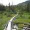Hatchery Pipeline