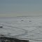 Boats on the sea ice at Elim