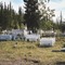 Ft. Yukon Cemetery