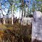 Cemetery