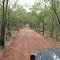 Dirt Road