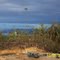 Lone Tall Palm left Standing on Ridge, looking SW from Oil Seach Exploration Area and Camp in Southern Highlands  in PNG