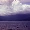 New Guinea