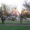 Spring Day
