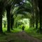 Plantation shade