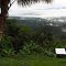Looking to Kokoda