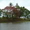 Aramia River