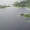 People Paddling across the River in BALIMO Area,  in Western Province, PNG, Photo by Estella Cheung, on 1-03-2013