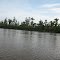 River bank