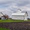 Country Farm