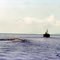 SHIP TOWING LOGS 1969 from LOLOBAU Island