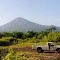 The FATHER Volcano Peak, Mt ULAWUN,  viewed from SULE Airport Strip, in Expectation Strait, in WNBP, PNG, on 25-10-2000