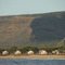 Housing - 200804