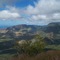 View of Mt Kaala from Puu Kaua