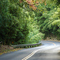 The Road to Hana