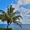 Hana Maui