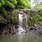 On the Road to Hana