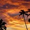 Germaine's Luau, Hawaii by Kerry Tighe ©