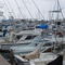 charter boats at marina